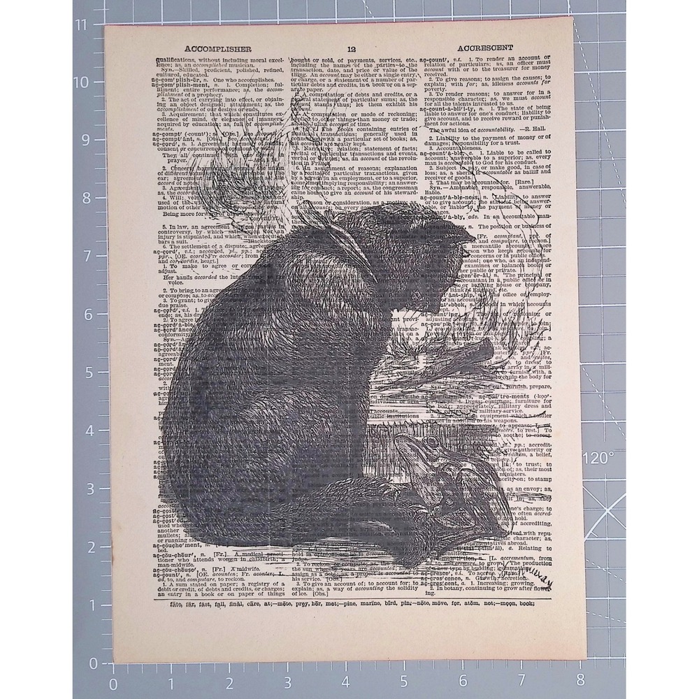 Cat Frog Dictionary Page Art Vintage Style Animal Print Whimsical Wall Decor